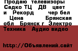 Продаю  телевизоры : “Садко-ТЦ423ДВ“ (цвет.)  и  “Рекорд-312“ (чер-бел.) › Цена ­ 2 000 - Брянская обл., Брянск г. Электро-Техника » Аудио-видео   